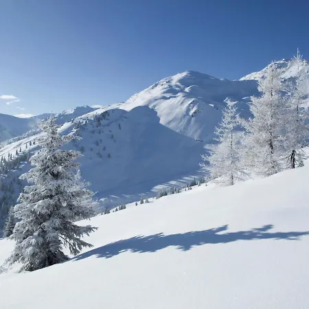 Fankhauser Apartment Zell am Ziller